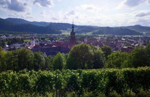 Ferienwohnung Sester - Photo 25