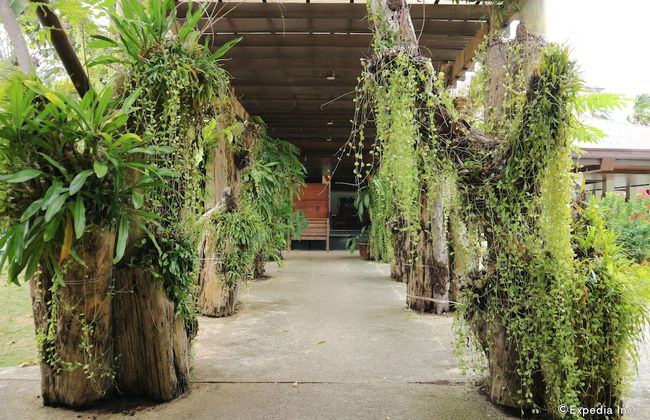 Dos Palmas Island Resort & Spa - Foto 65