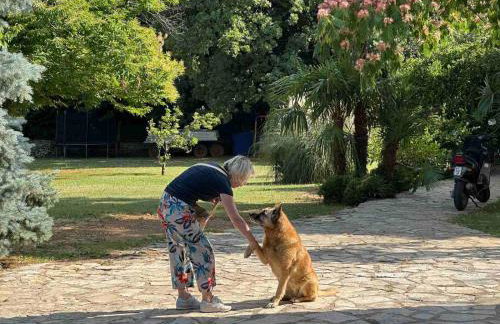 Villa Riviera blue with seaview, pool, whirlpool, parking and boat excursions - Foto 68