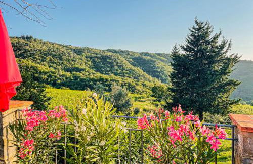 Charming Tuscan Suite with Pool 2 to 5 persons Lamole Greve in Chianti - Foto 17