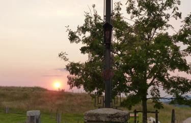 HAPPY PLACE Pusteblume - Foto 33