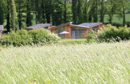 Woodpecker Lodge - Foto 21