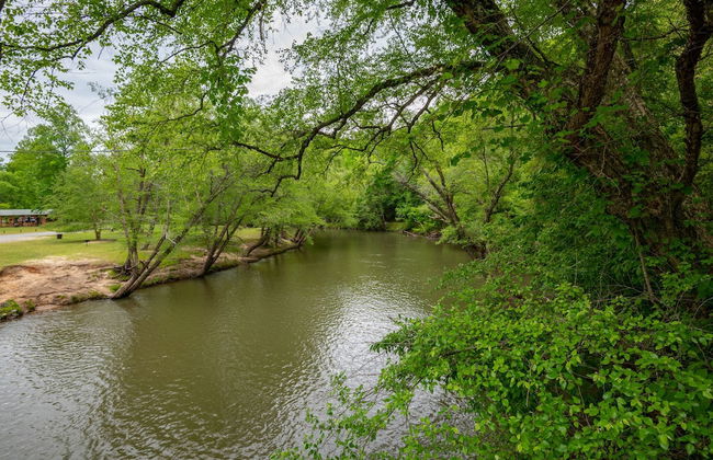 The Treehouse - Foto 49