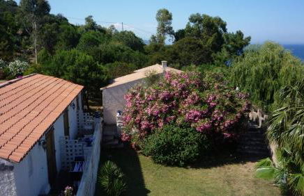 Residence VILLA MOROSI - Favone - Foto 43