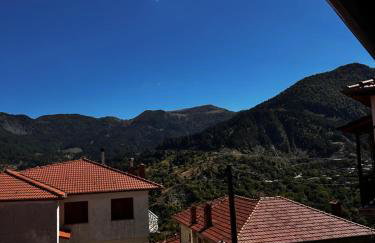 MetsoVillas στο κέντρο του Μετσόβου - Photo 22