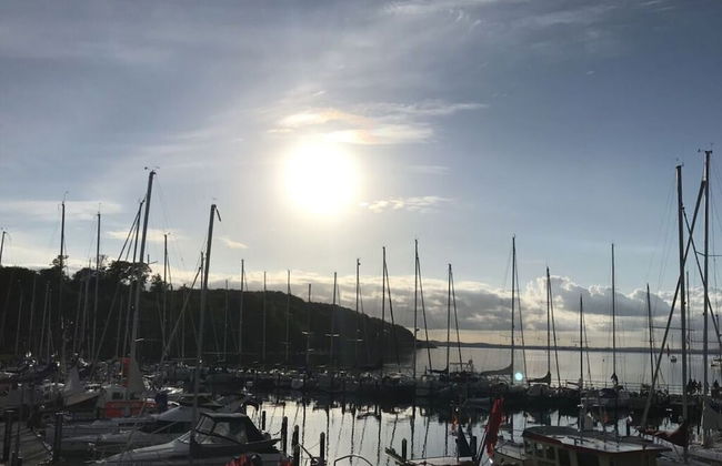 Hein Muck Modern Retreat - Photo 31