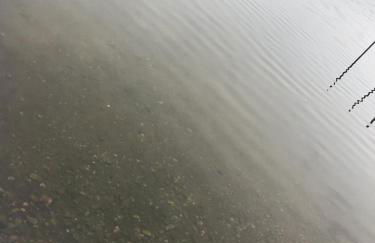 Cabin on Little Lake Emily & ATV Trails - Foto 46