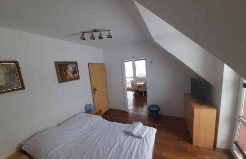 Noclegi u Banysia w sercu Gór Świętokrzyskich - Foto 6