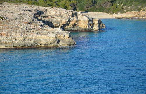 Finca Son Blat - Photo 63