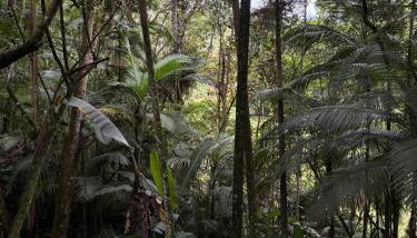 Sítio Ponto de Paz - Foto 2