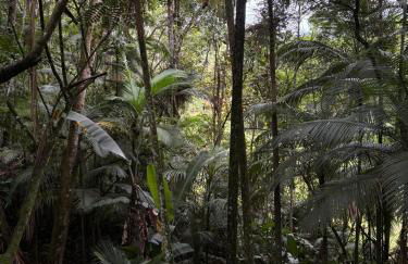 Sítio Ponto de Paz - Photo 2