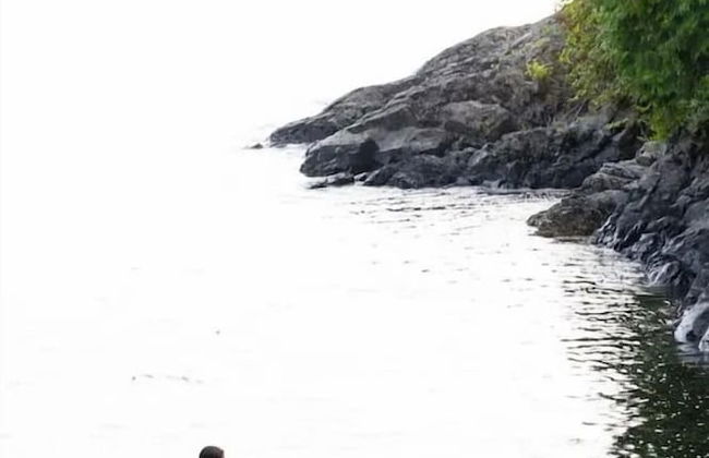 Tofino Oceanfront Hotel Suite 2 - Photo 8