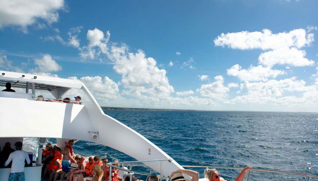 Don't forget your camera!