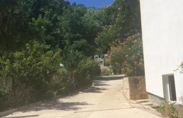 Toni i Kristina - Photo 59