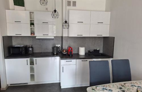 Apartament Śląskie Silesia - Foto 13