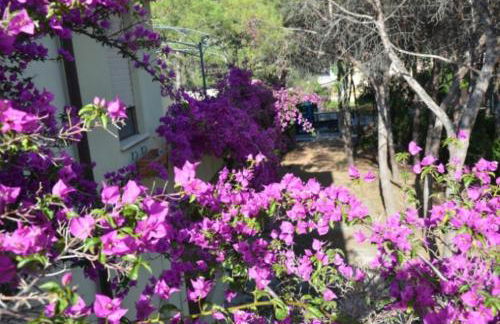 Vacanze Sardegna Mare San Giovanni Posada - Foto 18