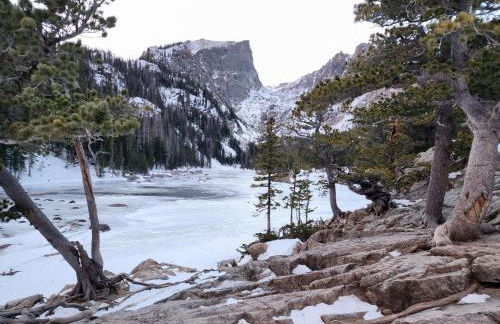 Cozy near airport vacation home Brighton - Foto 15