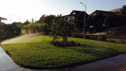 Garden Oasis at Banana Hale Studio - Foto 3