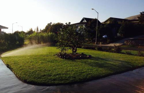 Garden Oasis at Banana Hale Studio - Foto 3