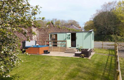 Shepherds Hut with Hot Tub - Foto 8