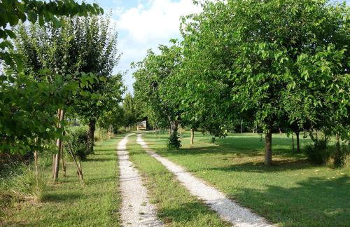 Il mulino di Augusto e Marianna - Foto 38