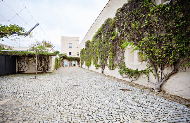 CV AR- Convento das Bernardas - Foto 10