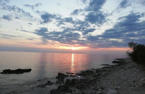 Apartments Oleander Lovrečica-residence with pool - Photo 65