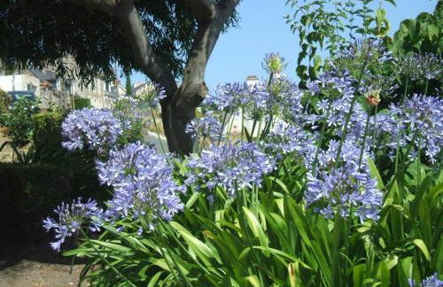 Chez Tante Jeanne - Foto 12