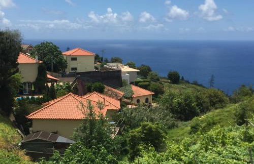 Blooming Botanic Houses - Foto 3