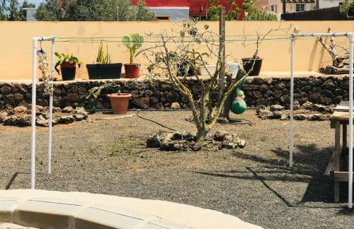 La Majorera - Foto 49