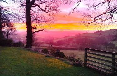 Little Acorn - Luxury shepherd's hut / lodge with private hot tub and garden - Foto 30