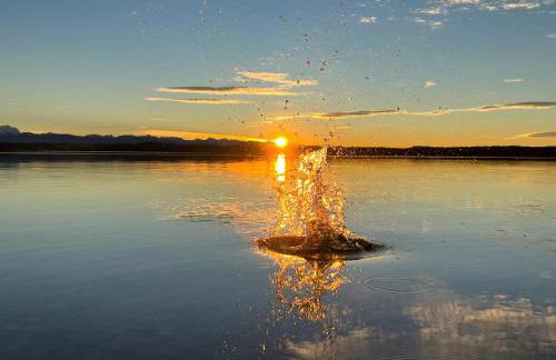 Atelier Seeshaupt - Foto 43