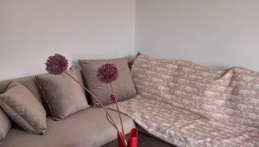 Wooden Home - Foto 5