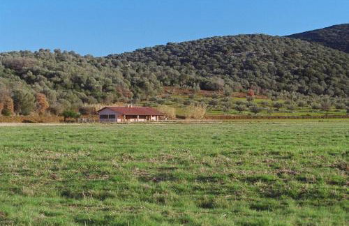 Bio Agriturismo Le Giunchiglie - Foto 17