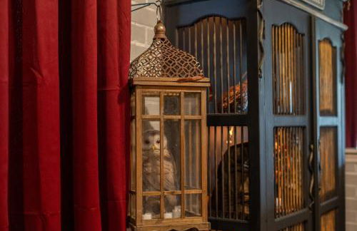 Welcome to Magical Oasis! Where Laughter Awaits! - Foto 60