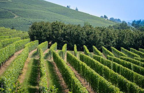 Villa con piscina e intera struttura a uso esclusivo casa del moré - Photo 33