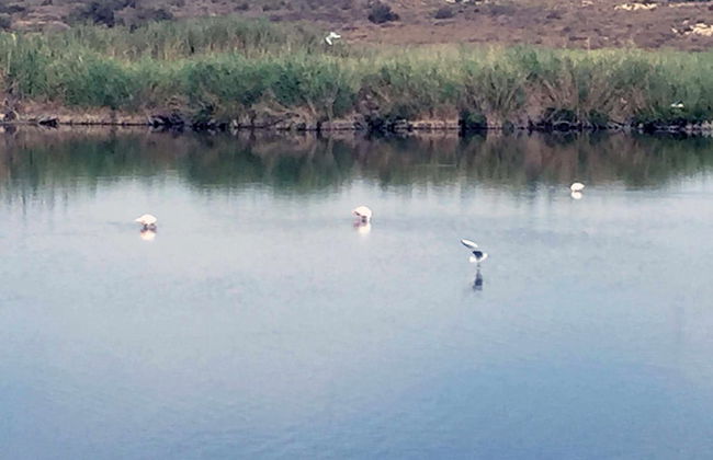 VenAVera C10A - Ground floor Garden 3Bedrooms/2Baths Beachfront, WIFI - Foto 51