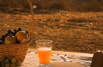 Monte Sardinha - Foto 90