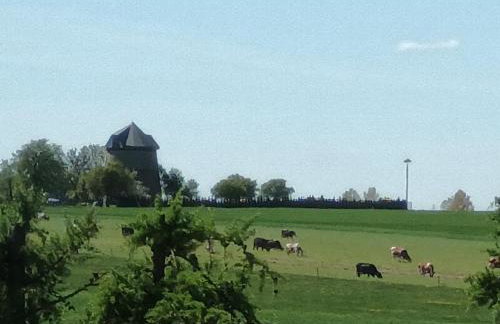 Bocianie Siedlisko - Foto 18