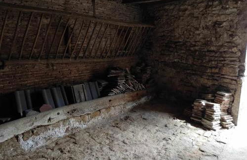 La glycine - Foto 37