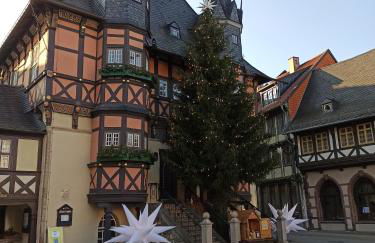 Behagliches Ferienhaus Zaunkönig -mit Kamin und Sauna- Blick über das romantische Bodetal - Foto 30