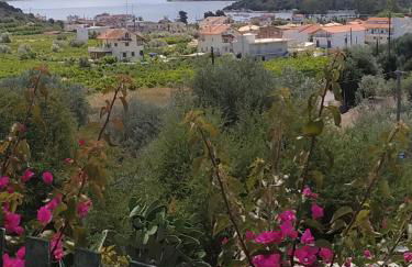 Traditional House Kakopetra - Foto 37