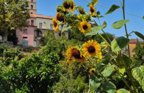 Domus in Horto - Foto 8