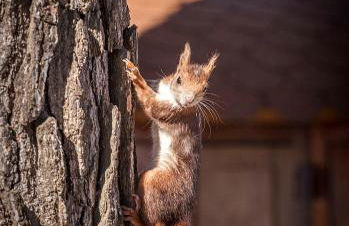 Villa Carmen - Foto 39
