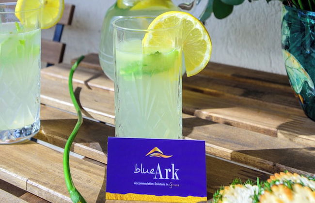 Blue Ark Harmony Residence - Photo 45