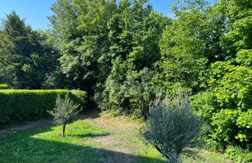 Luxury garden apartment under the Castle, Dover - Foto 12