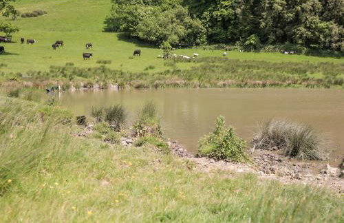 Twill Lodge - 4 Swandown - Foto 20