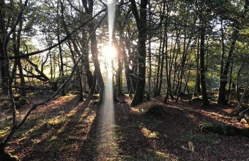 mill house steading overlooking the sea and mull - Foto 12