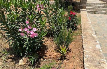 Villa Maxima Lavrio - Foto 45