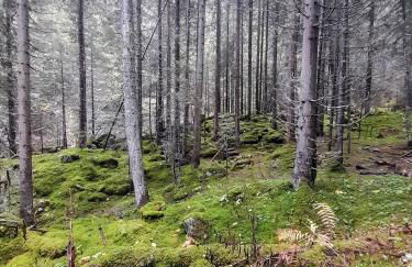 Magnifique studio au pied du télécabine d'Arrondaz et des pistes de ski - Foto 22